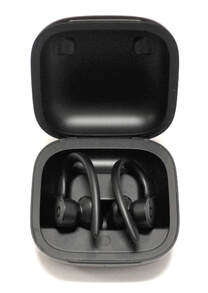 PowerBeats Pro Wireless Earbuds