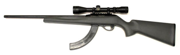 Remington 597 (.22 LR)